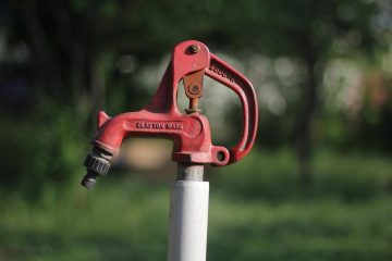 Un robinet rouge fixé à un poteau blanc dans un parc verdoyant