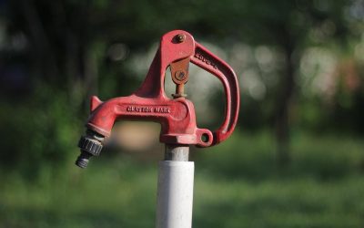 Un robinet rouge fixé à un poteau blanc dans un parc verdoyant